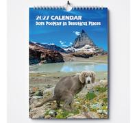Calendrier 2026 avec chiens faisant dans de beaux endroits, calendrier amusant pour Noël, anniversaire, Père Noël secret, planificateur mensuel mural pour homme et femme - A4