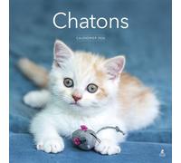 Calendrier 2026 - Chatons - Collectif - Place Des Victoires Eds - broché - Calendrier