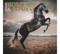 Calendrier 2026 Chevaux et poneys