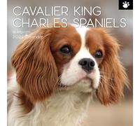 CALENDRIER 2026 CHIEN CAVALIER KING CHARLES (sg) + offert un agenda de poche 2026