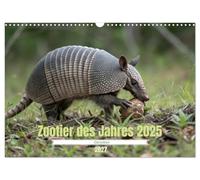Calendrier 2027 · Animal de zoo de l'année - Le tatou | Un aperçu fascinant du monde des tatous · DIN A3 paysage · CALVENDO Calendrier mural