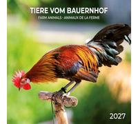 Calendrier 2027 Animaux de la Ferme Poule Coq Vache AVEC MAXI POSTER 30X60cm (tsh ap) + offert un agenda de poche