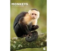 Calendrier 2027 au format A3 Motif singes