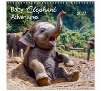 Calendrier 2027 · Aventures du bébé éléphant | Découvrez le monde enchanteur des bébés éléphants · 30 × 30 cm carré · CALVENDO Calendrier mural