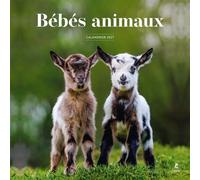 Calendrier 2027 bébés animaux - Collectif - Place Des Victoires Eds - relié - Calendrier
