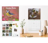 Calendrier 2027 - Calendrier mural Oiseaux du jardin - Calendrier mensuel - 16 mois - 30 x 30 cm