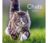 Calendrier 2027 chats - Collectif - Place Des Victoires Eds - relié - Calendrier