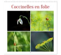 Calendrier 2027 · Coccinelles en folie | Apprenez tout sur les coccinelles et leur rôle essentiel dans l'écosystème · 30 × 30 cm carré · CALVENDO Calendrier mural