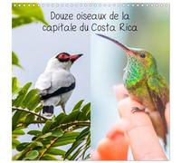 Calendrier 2027 · Douze oiseaux de la capitale du Costa Rica | Vous pouvez trouvez des centaines d'espèces d'oiseaux au Costa Rica, en voici… · 30 × 30 cm carré · CALVENDO Calendrier mural