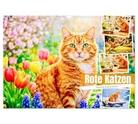 Calendrier 2027 · French Version · Chats rouges | 12 photos variées de chats tigrés rouges · DIN A3 paysage · CALVENDO Calendrier mural