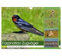 Calendrier 2027 · French Version · Fascination des oiseaux migrateurs | R rds dans le monde des oiseaux · Les performances étonnantes des oiseaux… · DIN A4 paysage · CALVENDO Calendrier mural