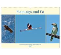 Calendrier 2027 · French Version · Flamant rose et compagnie | L'avifaune fascinante du sud de la France · Des photos d'oiseaux grandioses du… · DIN A3 paysage · CALVENDO Calendrier mural