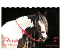 Calendrier 2027 · French Version · Les chevaux : une passion qui vient du | cœur · L'amour du cheval représenté sous la forme d'un cœur · DIN A3 paysage · CALVENDO Calendrier mural