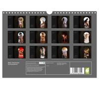 Calendrier 2027 · French Version · Mon trou de serrure secret | Le charme de l'observation secrète de la nudité et de l'intimité · DIN A4 paysage · CALVENDO Calendrier mural