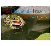Calendrier 2027 · La grenouille qui rit et ses amis | Ça m'a fait rire aussi, et j'ai failli laisser tomber l'appareil photo · DIN A3 paysage · CALVENDO Calendrier mural