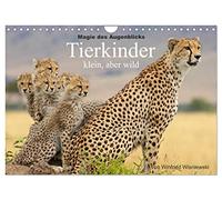 Calendrier 2027 · La magie de l'instant - Les enfants animaux | petits mais sauvages · Winfried Wisniewski a pris des photos sensibles de la… · DIN A4 paysage · CALVENDO Calendrier mural