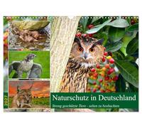 Calendrier 2027 · La protection de la nature en Allemagne | Animaux strictement protégés · que l'on observe désormais rarement · DIN A3 paysage · CALVENDO Calendrier mural