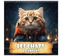 Calendrier 2027 · Les chats branchés | chats à la pointe de la mode · 30 × 30 cm carré · CALVENDO Calendrier mural
