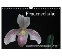 Calendrier 2027 · Les chaussures pour femmes : les plus belles orchidées du | monde · Les chaussures pour femmes : les plus belles orchidées du monde · DIN A4 paysage · CALVENDO Calendrier mural