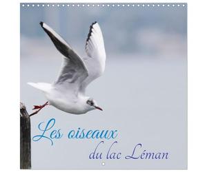 Calendrier 2027 · Les oiseaux du lac Léman | Photographies variées d'oiseaux piscivores · 30 × 30 cm carré · CALVENDO Calendrier mural