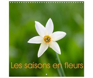 Calendrier 2027 · Les saisons en fleurs | Un voyage florale à travers l'année · 30 × 30 cm carré · CALVENDO Calendrier mural