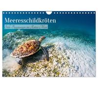 Calendrier 2027 · Les tortues marines : rencontres silencieuses en mer | Rouge · Le monde sous-marin et les tortues imbriquées · DIN A4 paysage · CALVENDO Calendrier mural