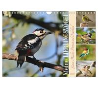Calendrier 2027 · Meine Lieblingsvögel | Ganze Pracht, Portrait und Federkleid · DIN A4 paysage · CALVENDO Calendrier mural