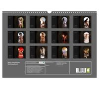 Calendrier 2027 · Mon trou de serrure secret | Le charme de l'observation secrète de la nudité et de l'intimité · DIN A3 paysage · CALVENDO Calendrier mural