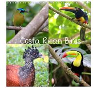 Calendrier 2027 · Oiseaux du Costa Rica | Les oiseaux que l'on peut facilement observer au Costa Rica · 30 × 30 cm carré · CALVENDO Calendrier mural