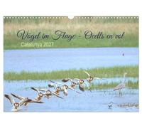 Calendrier 2027 · Oiseaux en vol - Ocells en vol | Séries de photos illustrant les différentes phases de vol des oiseaux · DIN A3 paysage · CALVENDO Calendrier mural
