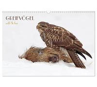 Calendrier 2027 · OISEAUX GREIFS sauvages & libres | Les rapaces en images fascinantes · DIN A3 paysage · CALVENDO Calendrier mural