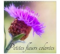 Calendrier 2027 · Petites fleurs colorées | Un monde de couleurs et de formes pour les fleurs · 30 × 30 cm carré · CALVENDO Calendrier mural