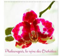 Calendrier 2027 · Phalaenopsis, la reine des Orchidées | Fleurs de Phalaenopsis photographiées en HD · 30 × 30 cm carré · CALVENDO Calendrier mural