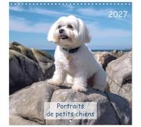 Calendrier 2027 · Portraits de petits chiens | Préparez-vous à douze mois de bonheur inconditionnel avec les chiens de… · 30 × 30 cm carré · CALVENDO Calendrier mural