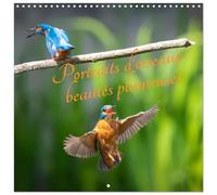 Calendrier 2027 · Portraits d'oiseaux des beautés plumeuses | Découvrez la splendeur des oiseaux à travers des photographies captivantes · 30 × 30 cm carré · CALVENDO Calendrier mural