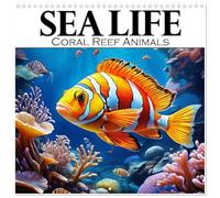 Calendrier 2027 · Sea Life - Animaux des récifs coralliens | Plongez dans un incroyable royaume aquatique tropical · 30 × 30 cm carré · CALVENDO Calendrier mural