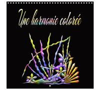 Calendrier 2027 · Une harmonie colorée | L'art numérique des couleurs et des formes · 30 × 30 cm carré · CALVENDO Calendrier mural