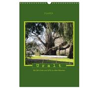 Calendrier 2027 · Uralt - À la découverte des arbres centenaires grâce au | code QR et au GPS · À la découverte des vieux arbres grâce au code QR et au GPS · DIN A3 portrait · CALVENDO Calendrier mural