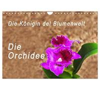 Calendrier 2027 · US Version · La reine du monde des fleurs, l'orchidée | Photos de l'exposition « Orchid World » à Guayaquil, en Équateur · DIN A4 paysage · CALVENDO Calendrier mural
