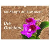 Calendrier 2027 · US Version · La reine du monde des fleurs, l'orchidée | Photos de l'exposition « Orchid World » à Guayaquil, en Équateur · DIN A3 paysage · CALVENDO Calendrier mural