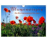 Calendrier 2027 · US Version · Prairies fleuries : une année magique sous | le signe des fleurs · Des photos fascinantes de magnifiques prairies fleuries · DIN A4 paysage · CALVENDO Calendrier mural