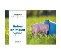 Calendrier 52 Semaines Bébés Animaux Rigolos