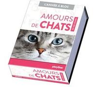 Calendrier Amours de chats en 365 jours - Année à bloc - Collectif - Play Bac Eds - cartonné - Calendrier