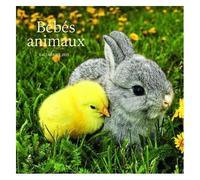 Calendrier Bébés Animaux