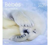 Calendrier Bébés animaux 2027 - Laurent Chrzanovski - Artemis Eds - broché - Calendrier