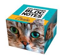 Calendrier Bloc notes Chats - - Collectif - Play Bac Eds - Calendrier