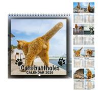 Calendrier boules de chat 2026 - hilarant, humour, calendrier des chats 2026, calendriers de la planète des chats | Calendriers de chat drôles pour réfrigérateur, bureau, cuisine, salon, bureau