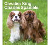 Calendrier Cavalier King Charles 2026 (bt) + offert un agenda de poche