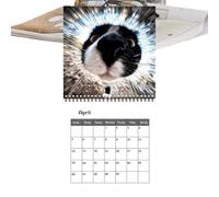 Calendrier Chat 2027 Planificateur Mural Chat Selfie Mignon Janv - Déc 2027 | Calendrier Chatons Drôles 12 Mois Pour Amoureux des Animaux Maison Appartement Entrée Bureau Studio École Salle de Cla