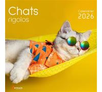 Calendrier chats rigolos 2026